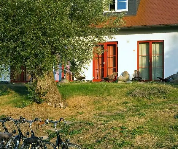 Enddorn * Grieben